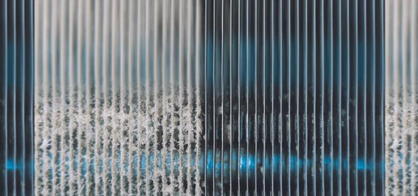 肺炎型军团菌病